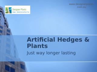 Fake Plants and Hedges – Designerplants.com.au.pptx