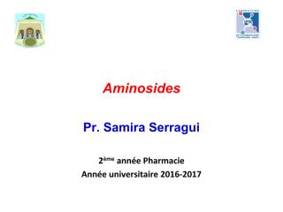 Les aminosides.pdf